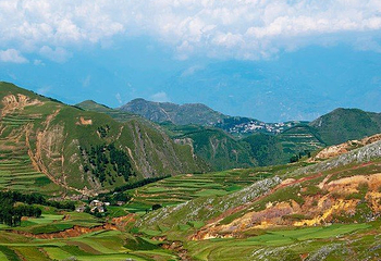 大海草山第 16 张图片