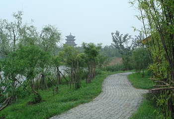 梁鸿湿地公园第 6 张图片