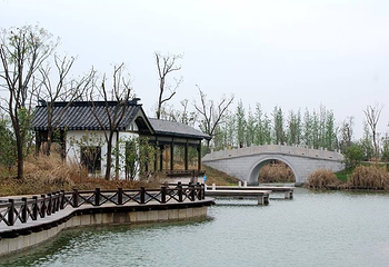 梁鸿湿地公园第 5 张图片