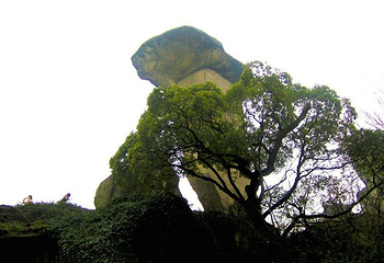 吼山第 8 张图片