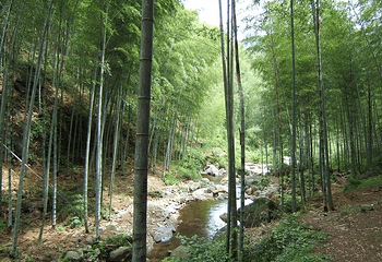 黄岩大瀑布第 3 张图片