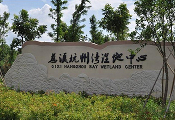 杭州湾国家湿地公园第 2 张图片