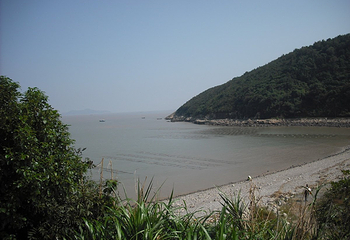 花岙石林第 11 张图片