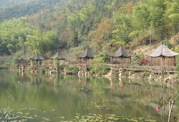八都岕景区-古银杏公园第 5 张图片