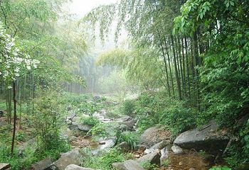 白水涧第 10 张图片