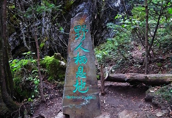 野人谷第 13 张图片