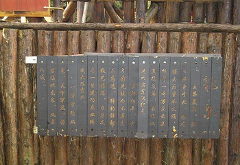 八都岕景区-古银杏公园第 6 张图片