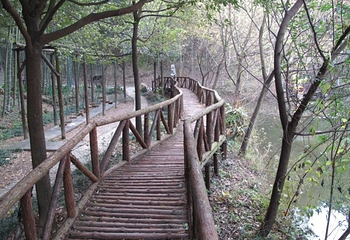 八都岕景区-古银杏公园第 4 张图片