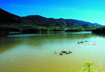 青山湖第 16 张图片