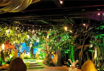 伊泰莲娜DIY地带第 4 张图片