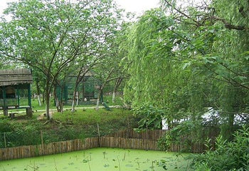 大千天鹅湖庄园第 16 张图片