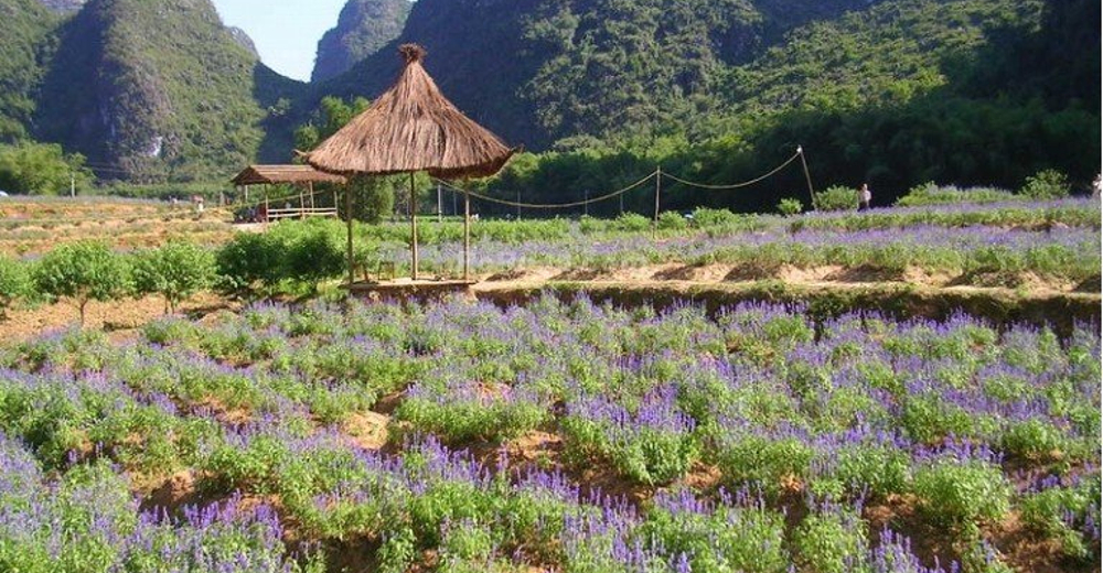 怀集燕岩 世外桃源套票