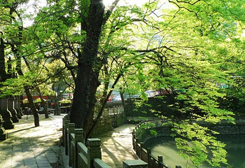 天童禅寺第 8 张图片