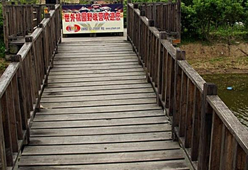 青村世外桃园第 6 张图片