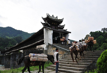 茶马古道风景区第 30 张图片