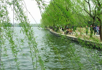 新沙岛旅游度假区第 4 张图片