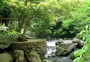 野鹤湫风景区第 5 张图片