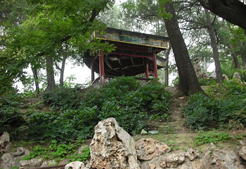 上海宋庆龄故居纪念馆第 5 张图片