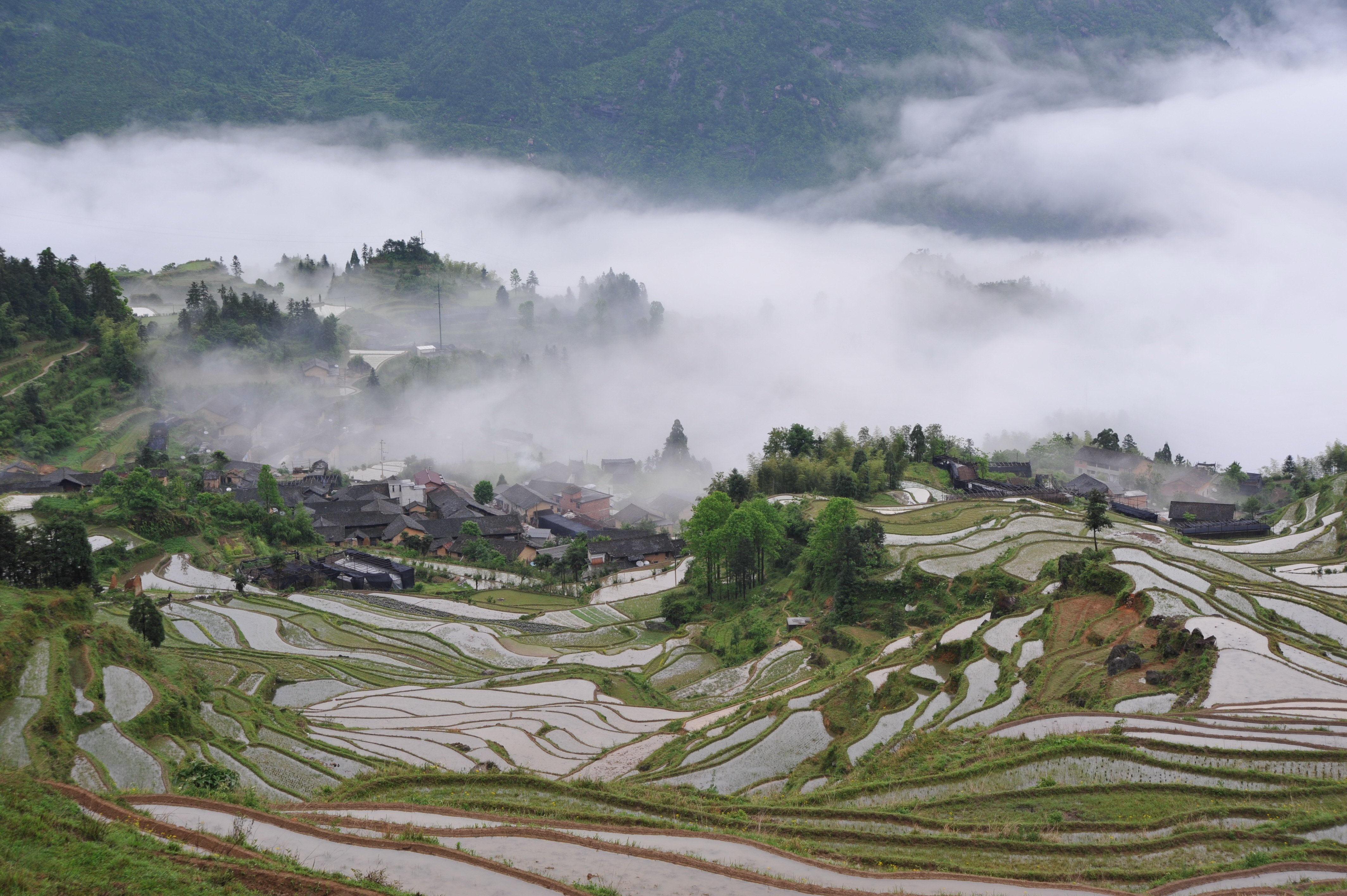 08:00~16:30; 云和梯田景区总面积约50平方公里