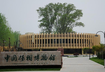 中国杨树博物馆第 8 张图片