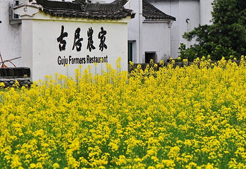 新叶古村第 5 张图片