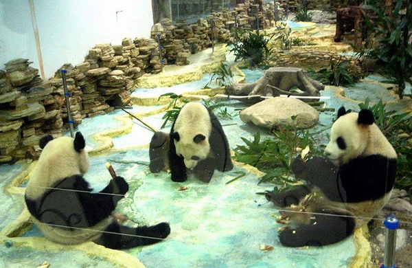 包含景点: 长屿硐天 双门石窟 观夕硐景区 双门硐景区 长屿硐天熊猫馆