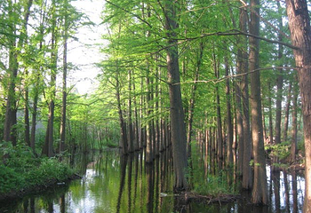 野鹤湫风景区第 6 张图片