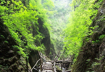从化森林瀑布谷漂流第 4 张图片