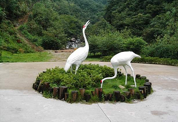 野鹤湫风景区第 7 张图片