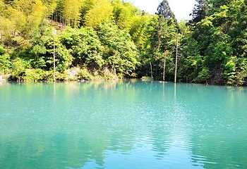 野鹤湫风景区第 4 张图片
