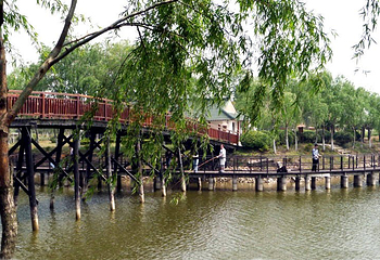 瀛东村东湖景区第 8 张图片