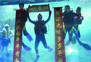 潜水表演剧场第 1 张图片