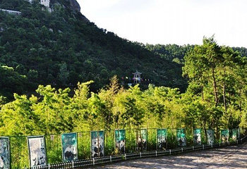 长屿硐天熊猫馆第 6 张图片