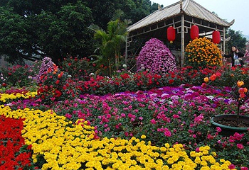 深圳人民公园第 1 张图片