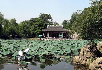 莫愁湖公园第 45 张图片