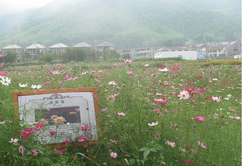 安吉谈香山第 2 张图片