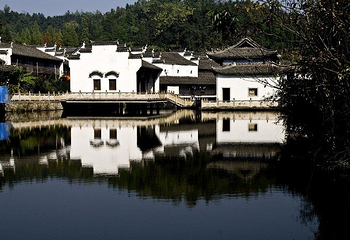 金瑞八百里第 8 张图片