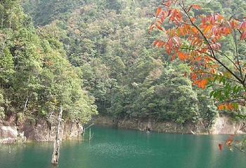 华山国家森林公园第 1 张图片