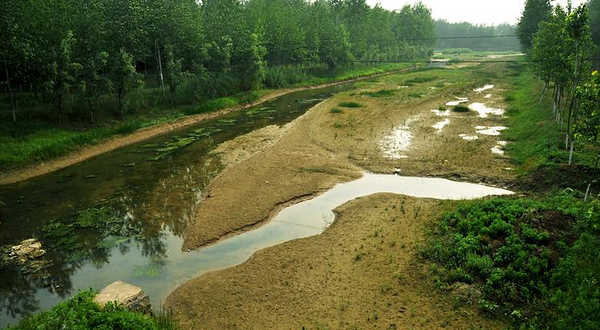 平原林海自驾游