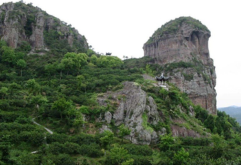 淡竹休闲谷第 3 张图片