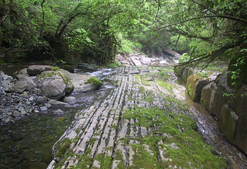 千层河旅游风景区第 6 张图片