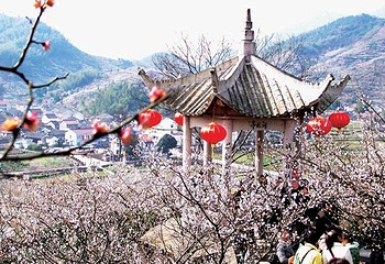 绍兴香雪梅海旅游区第 1 张图片