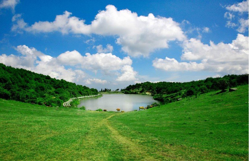中国福州云顶  起 地  址                                    福建