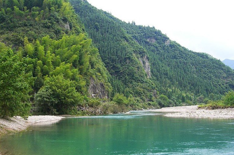 淡竹原始森林 4a景区  起 地  址            