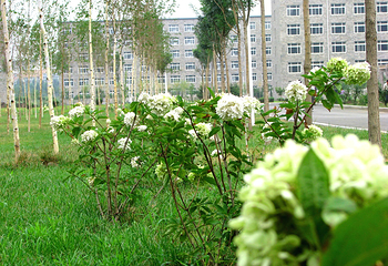 辽宁职业学院景区第 1 张图片