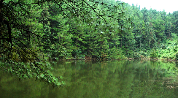 大垭口森林公园