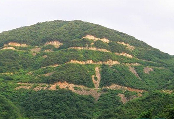 安吉龙王山风景区第 5 张图片