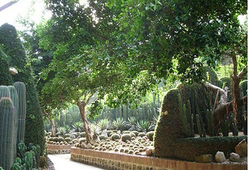 中山仙踪龙园第 4 张图片