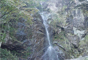 安吉龙王山风景区第 6 张图片