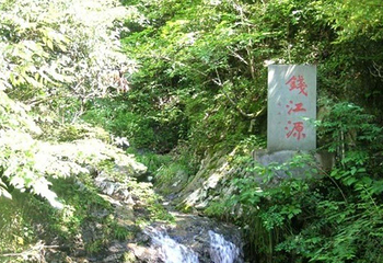 钱江源国家森林公园第 21 张图片